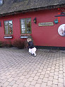 DSC02343