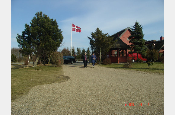 DSC02351