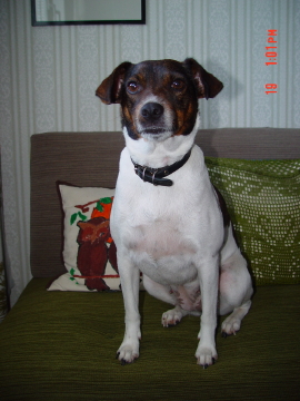 DSC01935