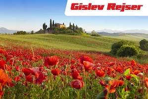 Flyrejse til sk�nne Toscana