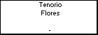 Tenorio Flores